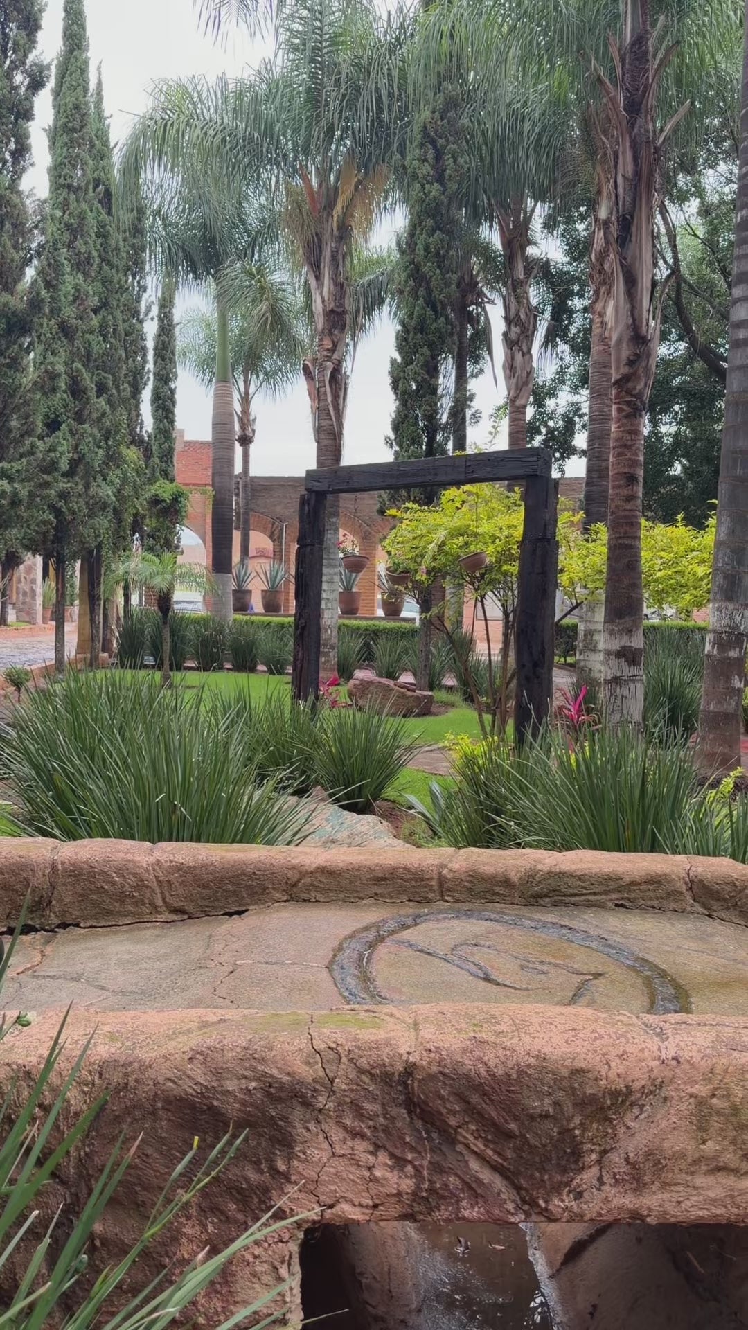 Cargar video: 